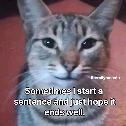 i> literallymecats Sometimes starta sentence and just hope it ends well.