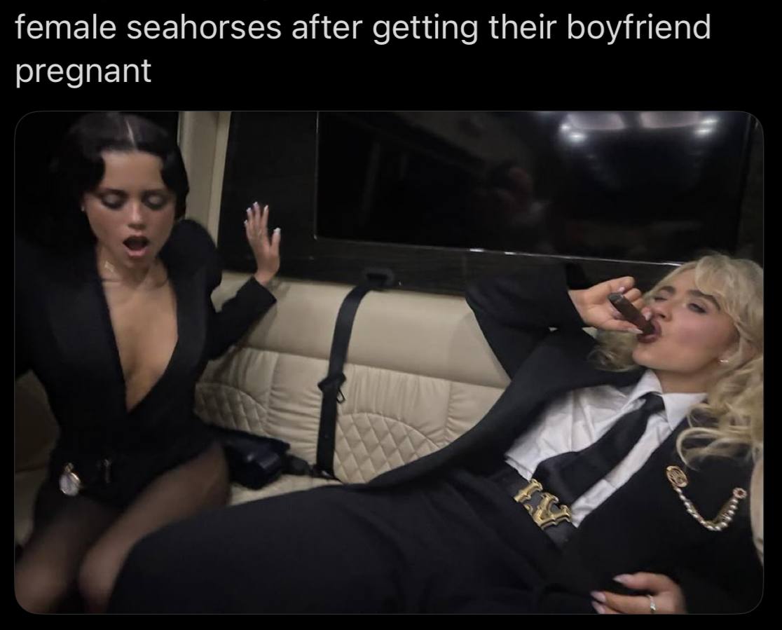 female seahorses after getting their boyfriend pregnant