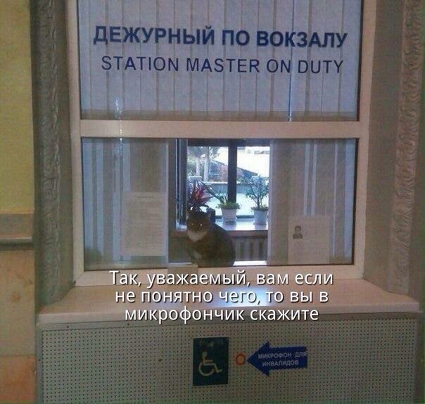 Так, уважаемый, вам если не понятно вы в микрофончик скажите