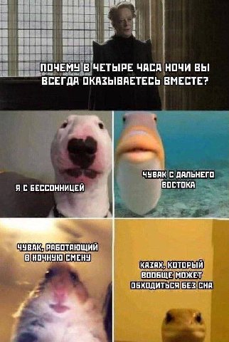 ПОЧЕМУ В ЧЕТЫРЕ ЧАСА НОЧИ ВЫ ВСЕГДА ОКАЗЫВАЕТЕСЬ ВМЕСТЕ? ЧУВАК С ДАЛЬНЕГО Я С БЕССОННИЦЕИ 1 BOCTOKA РАБОТАЮЩИЙ СМЕНУ КАЗАХ, КОТОРЫИ ВООБЩЕ МОЖЕТ ОБХОДИТЬСЯ БЕЗ СНА