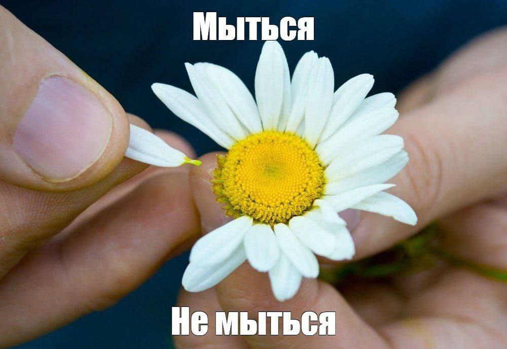 He МЫТЬСЯ