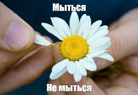 He МЫТЬСЯ