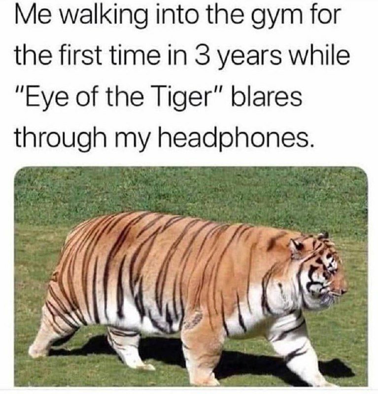 walking into the gym for the first time in 3 years while “Eye of the Tiger” blares through my headphones