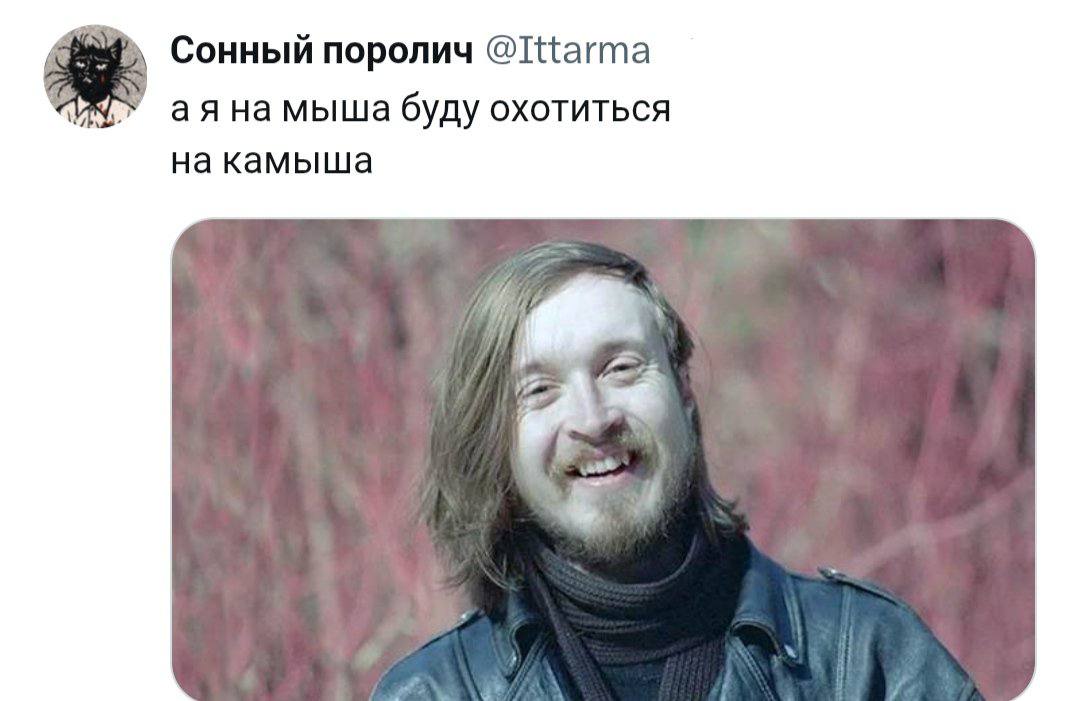 Сонный поролич аяна мыша буду ОХОТИТЬСЯ на камыша