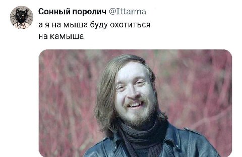 Сонный поролич аяна мыша буду ОХОТИТЬСЯ на камыша