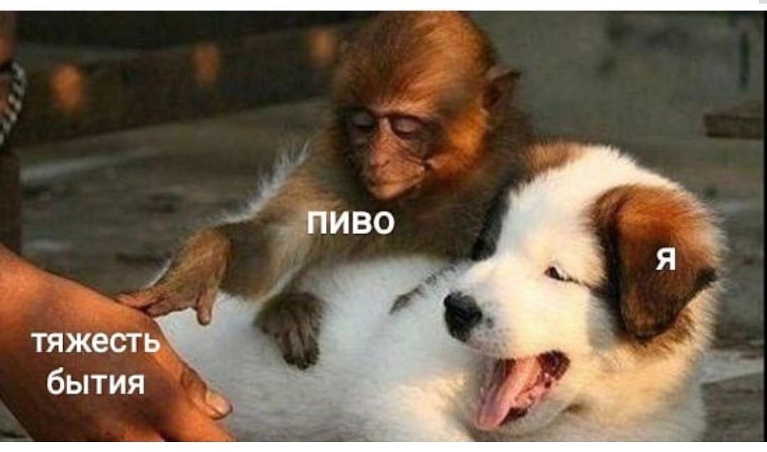 ПИВО тяжест бытия