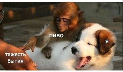 ПИВО тяжест бытия