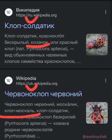 Википедия Клоп-солдатик Клоп-солдатик, красноклоп бескрылы или красный клоп лат. oris apterus вид обыкновенных наземных клопов семейства красноклопов, Wikipedia Червоноклоп червоний Червоноклоп червон