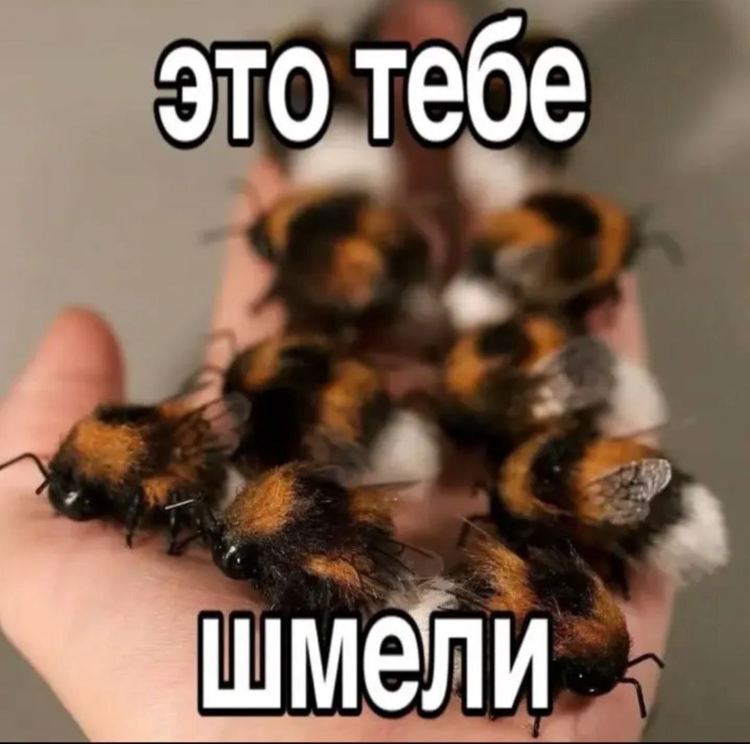 это тебе шмели