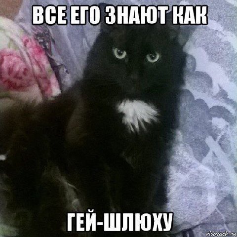 ВСЕЕГО ЗНАЮТ КАК. ГЕЙ-ШЛЮХУ