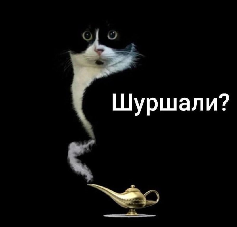 a Шуршали?