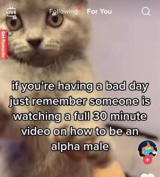 LIVE For You 4 you’re having a bad day just remember someone is atching a full 30 minute video on how to be an alpha male