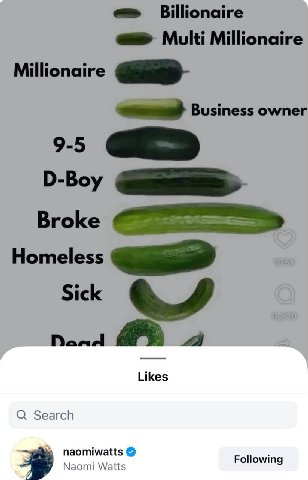 Billionaire Multi Millionaire Millionaire Business owner 5 Broke Homeless Sick rant Likes Search naomiwatts Following Naomi Watts