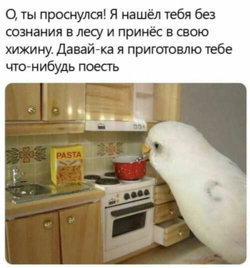 О, ты проснулся! Я нашёл тебя без сознания в лесу и принёс в свою хижину. Давай-ка я приготовлю тебе что-нибудь поесть 1
