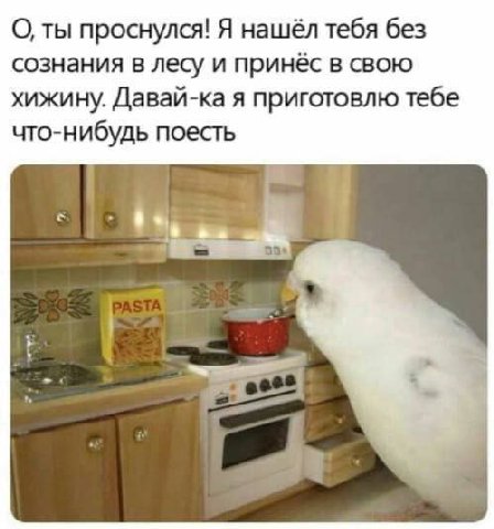 О, ты проснулся! Я нашёл тебя без сознания в лесу и принёс в свою хижину. Давай-ка я приготовлю тебе что-нибудь поесть 1