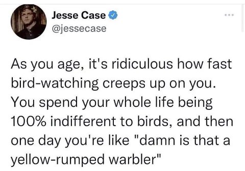 Jesse Case @jessecase As you age, It's ridiculous how fast bird-watching creeps up on you. You spend your whole life being 100% indifferent to birds, and then one day you're like "damn is that a yello
