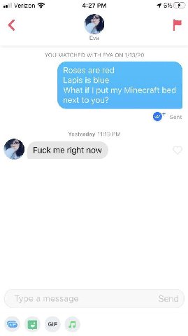 a) Verizon 4:27 9 Eva YOU MATCHED WITH EVA ON 1/13/20 Roses are red Lapis is blue What if put my Minecraft bed next to you? Sent Yesterday 11:19 Fuck right now Type a message Send