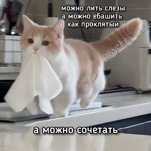 можно лить слезы а можно ебашить как проклятый а можно сочетат