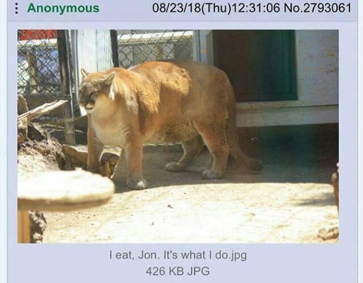 Anonymous 08/23/18(Thu)12:31:06 No.2793061 eat, Jon. It's what do.jpg 426 JPG