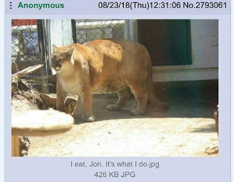 Anonymous 08/23/18(Thu)12:31:06 No.2793061 eat, Jon. It's what do.jpg 426 JPG