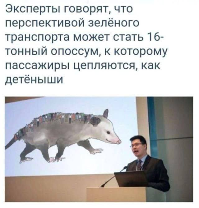 Эксперты говорят, что перспективой зелёного транспорта может стать 16- тонный опоссум, к которому пассажиры цепляются, как детёныши