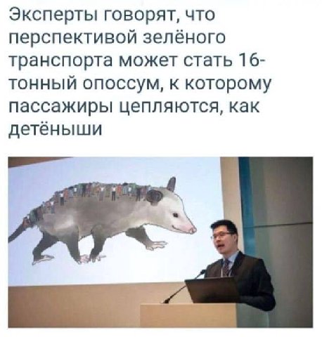 Эксперты говорят, что перспективой зелёного транспорта может стать 16- тонный опоссум, к которому пассажиры цепляются, как детёныши