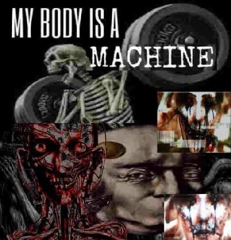 MY BODY MACHINE