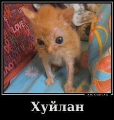 Хуилан