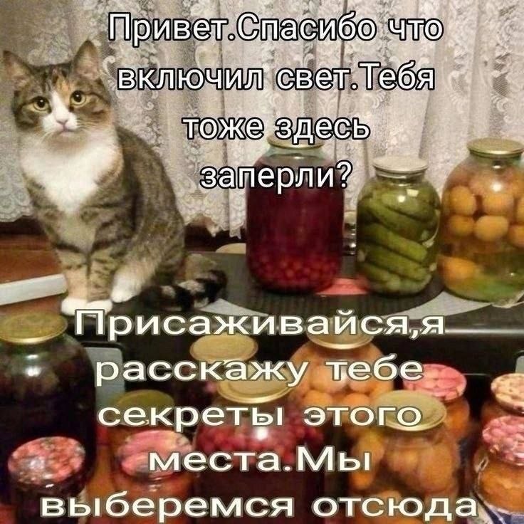 echt то исаживайся,я. расскажу ъебе секреты этого выберемся