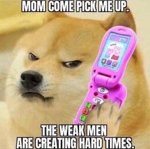 MOM THE WED ARE CREATING HARD TIMES