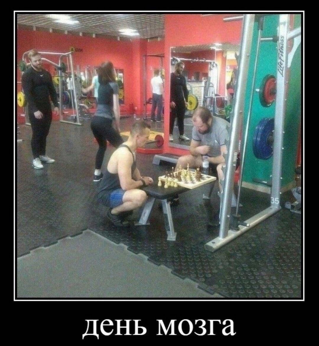 день мозга