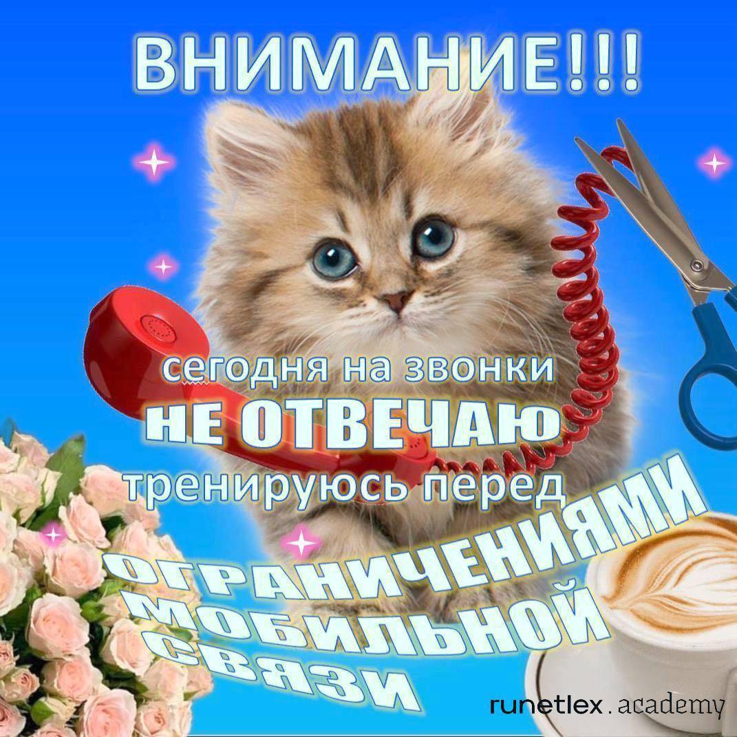 ВНИМАНИЕ!!! сегодня на звонки НЕ ОТВЕЧАЮ перед