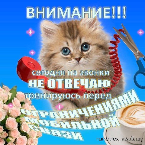 ВНИМАНИЕ!!! сегодня на звонки НЕ ОТВЕЧАЮ перед