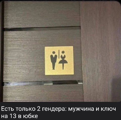 Есть только 2 гендера: мужчина и ключ на 13 в юбке