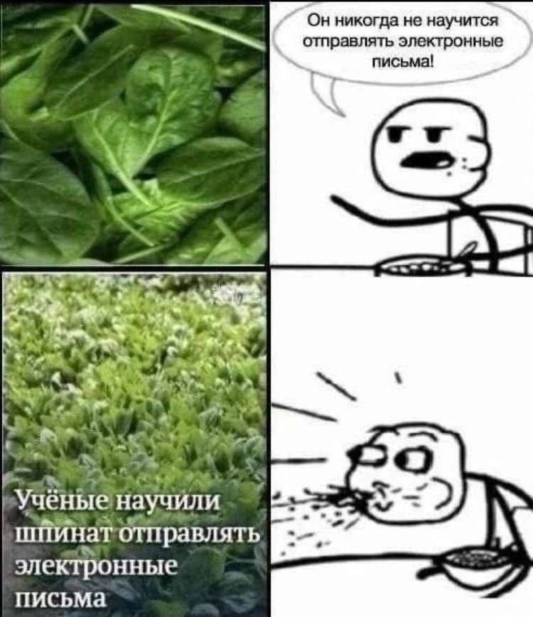 Он никогда не научится отправлять электронные письма! A AS А 21 „Ученые научили a“ шйинатотправлять электронные письма