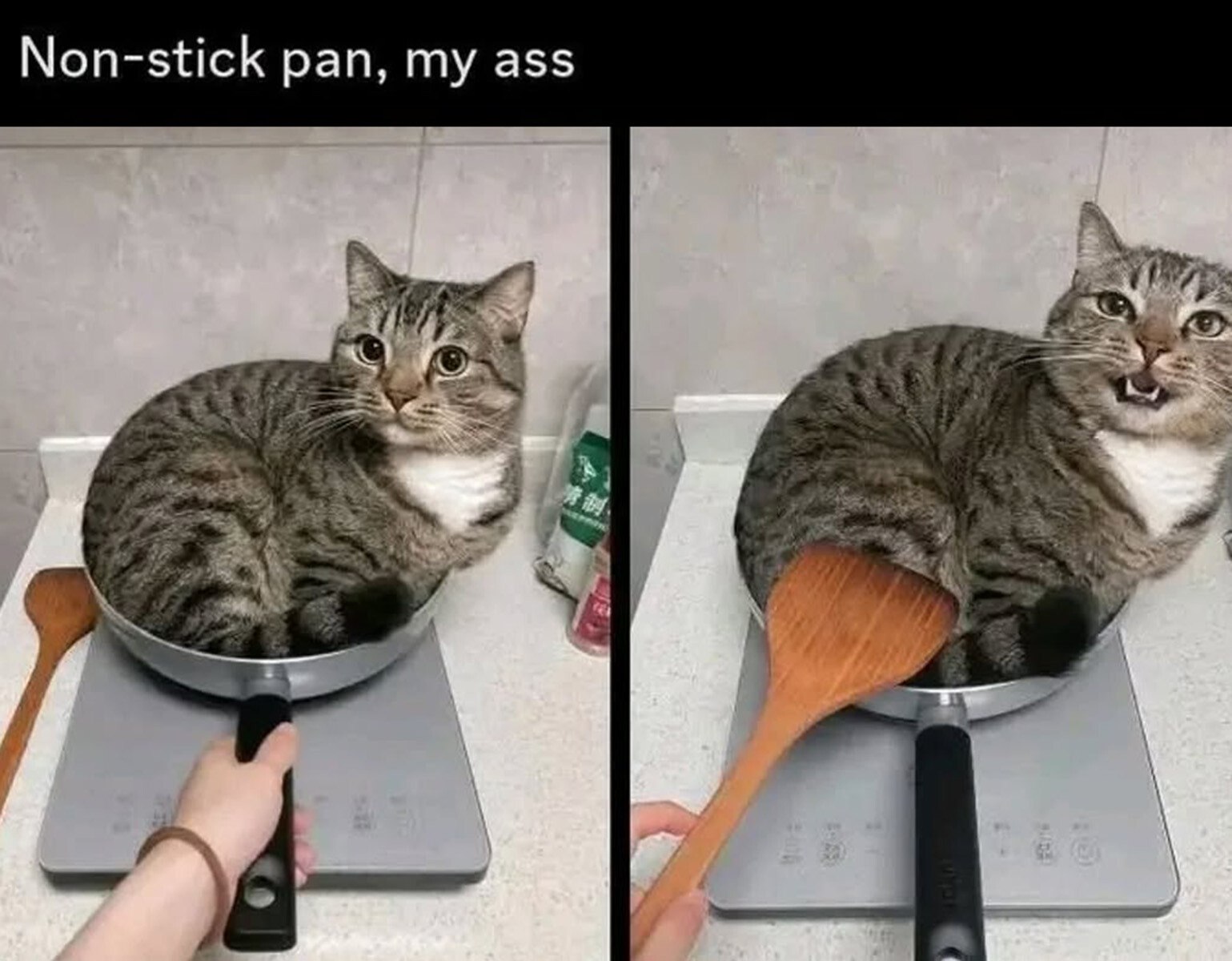 Non-stick pan, my ass 4