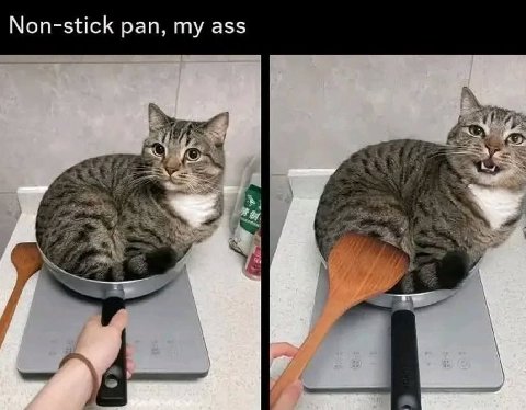 Non-stick pan, my ass 4
