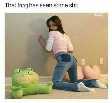 That frog has seen some shit