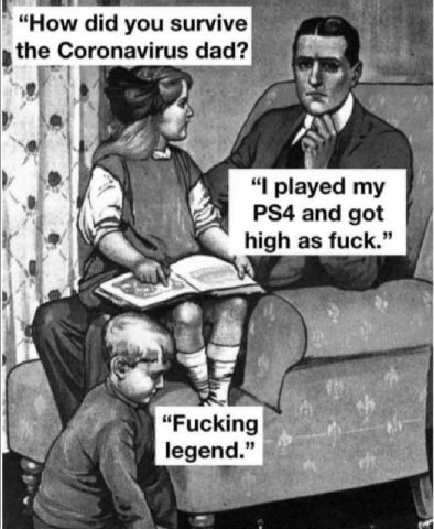 “Ном did you survive the Coronavirus played my and got igh as fuck.” “Fucking legen