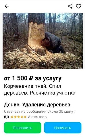 <9 22. 1/8 1 500 за услугу Корчевание пней. Спил деревьев. Расчистка участка Денис. Удаление деревьев Отвечает на сообщения около 30 минут 8 отзывов