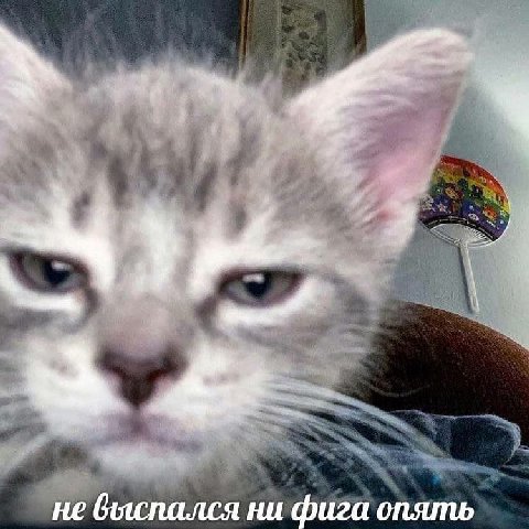 He выспался ни фига опять