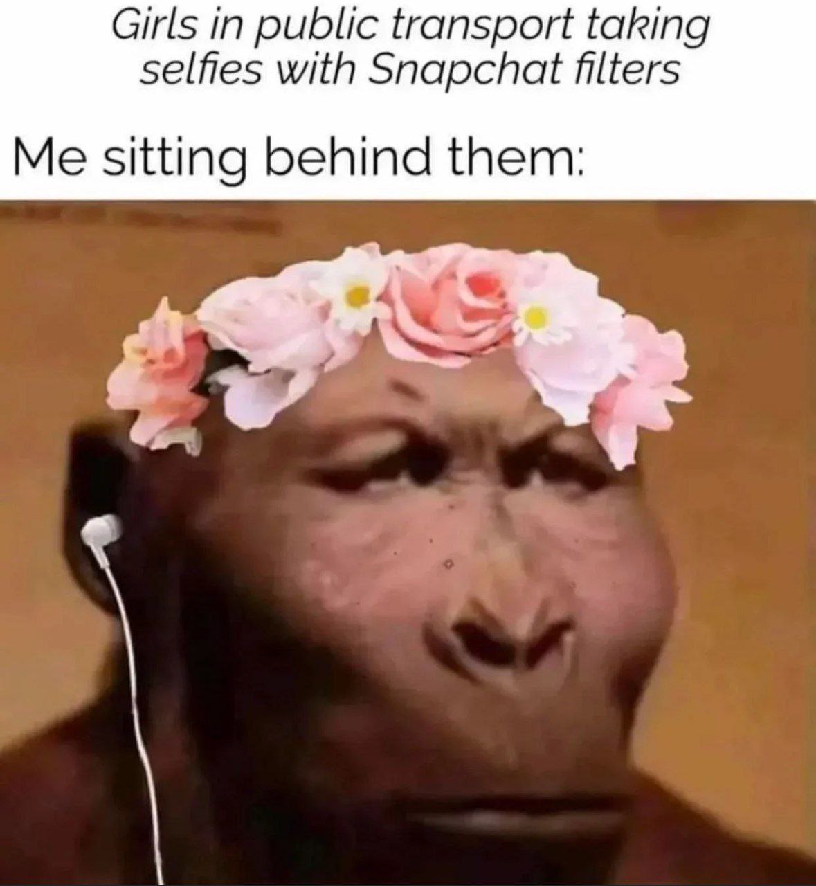 Girls public transport taking selfies with Snapchat filters Me sitting behind them: