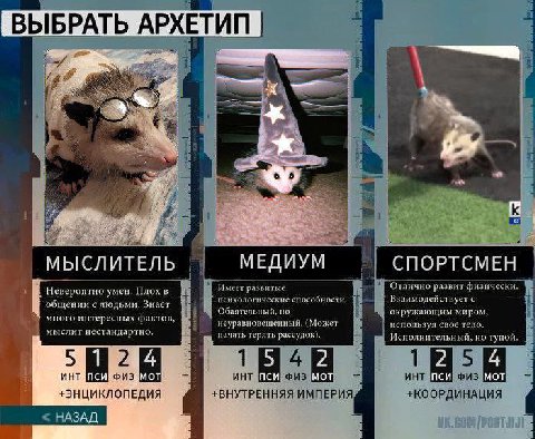 ВЫБРАТЬ АРХЕТИП я МЕДИУМ СПОРТСМЕН МЫСЛИТЕЛЬ Невероятно умен. в меет развитые Отлично развит физически общении с людьми. Знае психологические способности Взаи модеиствует с Обаятельный, но окружающим 