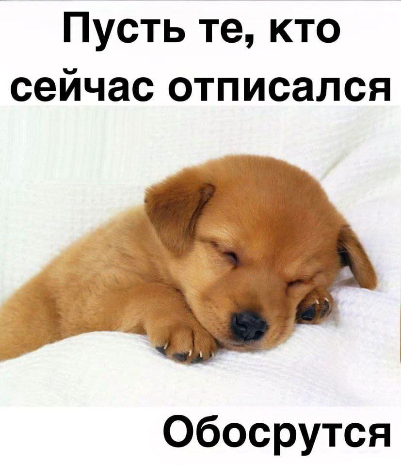 Пусть кто сейчас отписался Обосрутся