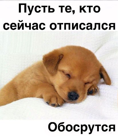 Пусть кто сейчас отписался Обосрутся