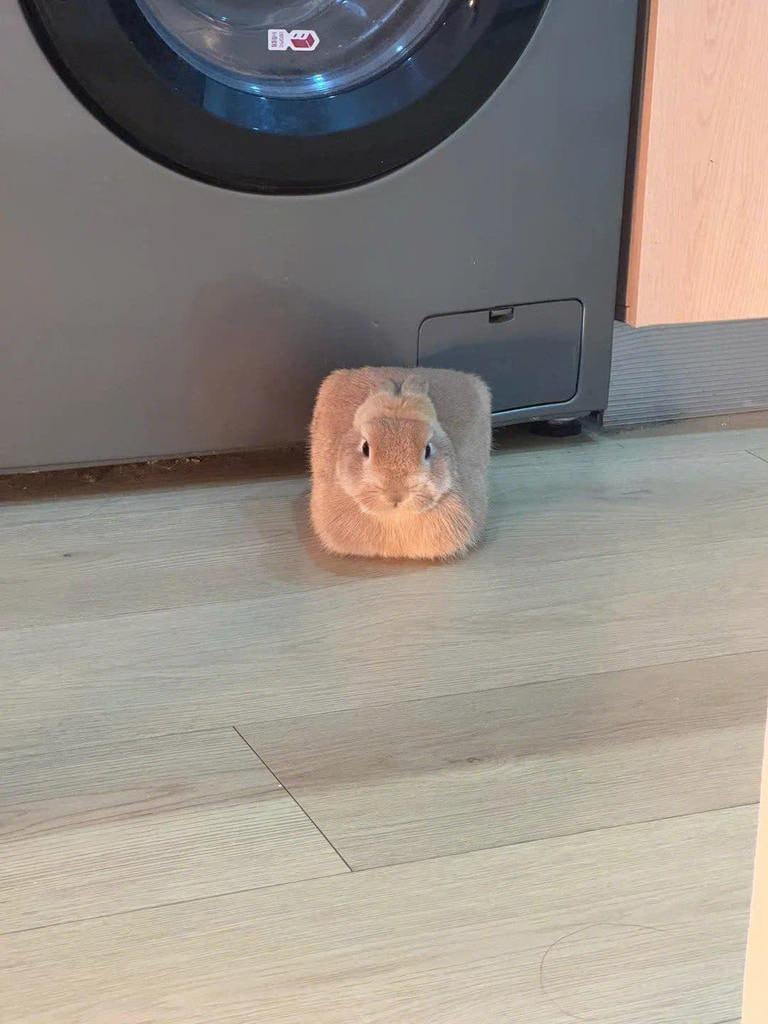 4 59