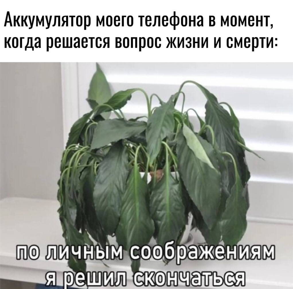 Аккумулятор моего телефона МОМент, когда решается вопрос жизни и смерти: \\4 у У соображениям