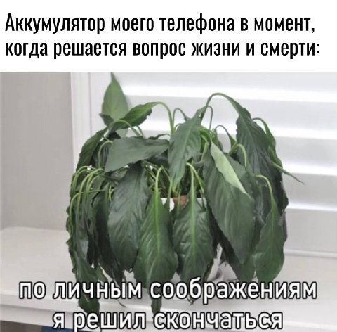 Аккумулятор моего телефона МОМент, когда решается вопрос жизни и смерти: \\4 у У соображениям