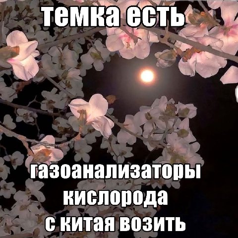газоанализаторы кислорода с китая возить