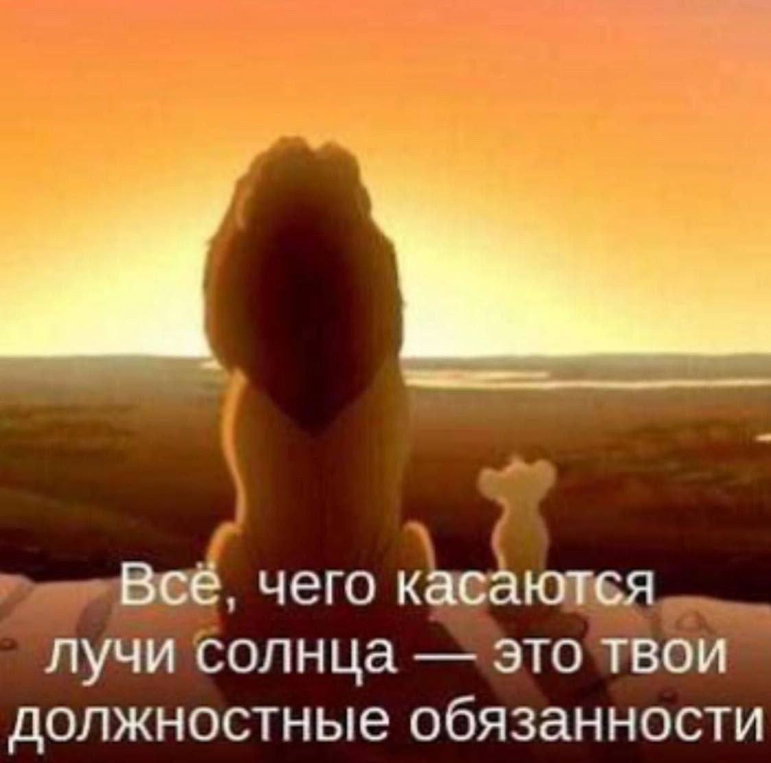 Все. чего касаются лучи солнца это твои должностные обязанности